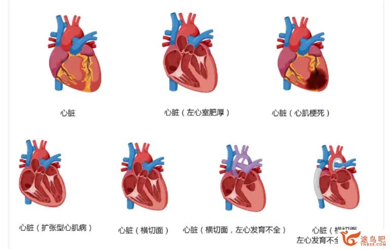 给忙碌者的健康管理科