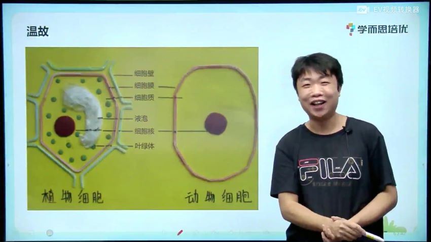 2020年七年级生物秋季 李嘉津 李嘉津老师百度网盘下载