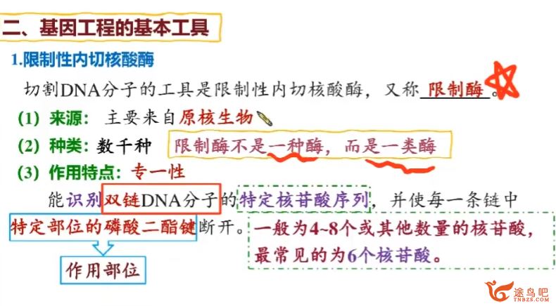 段瑞莹2024年高考生物一轮暑秋联报暑假班更新12讲 百度网盘分享