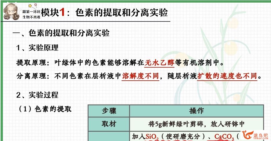 谢一凡2024年高考生物A+一轮秋季尖端更新17讲 谢一凡高考生物百度网盘下载