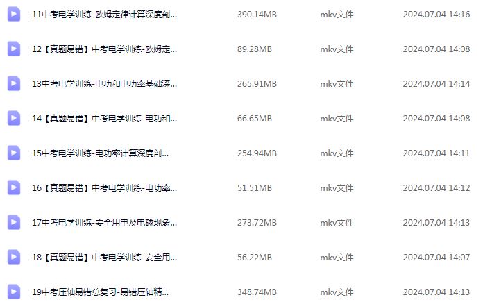 2024杨萌初三物理a+视频教程+讲义