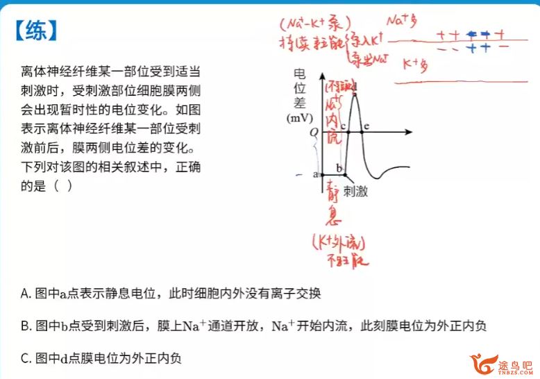 周云2023高二生物秋季尖端班更新17讲 周云高二生物百度网盘下载