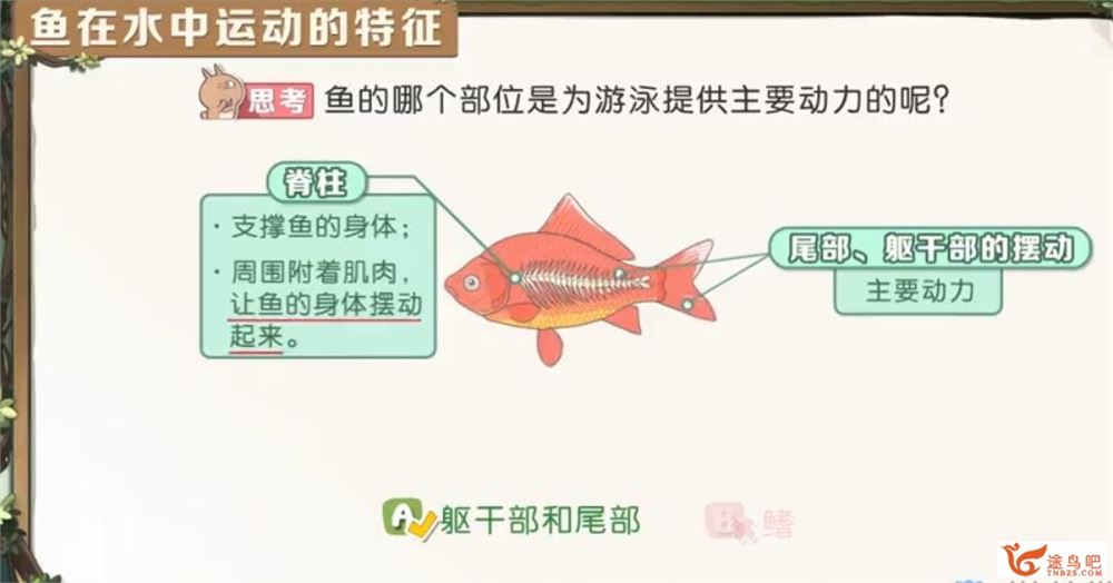 洋葱学院 人教版初中生物7