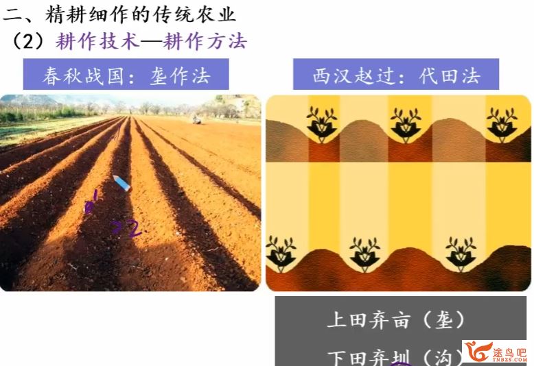 徐爱华 2019寒 高一历史直播菁英班 7讲完结百度网盘下载