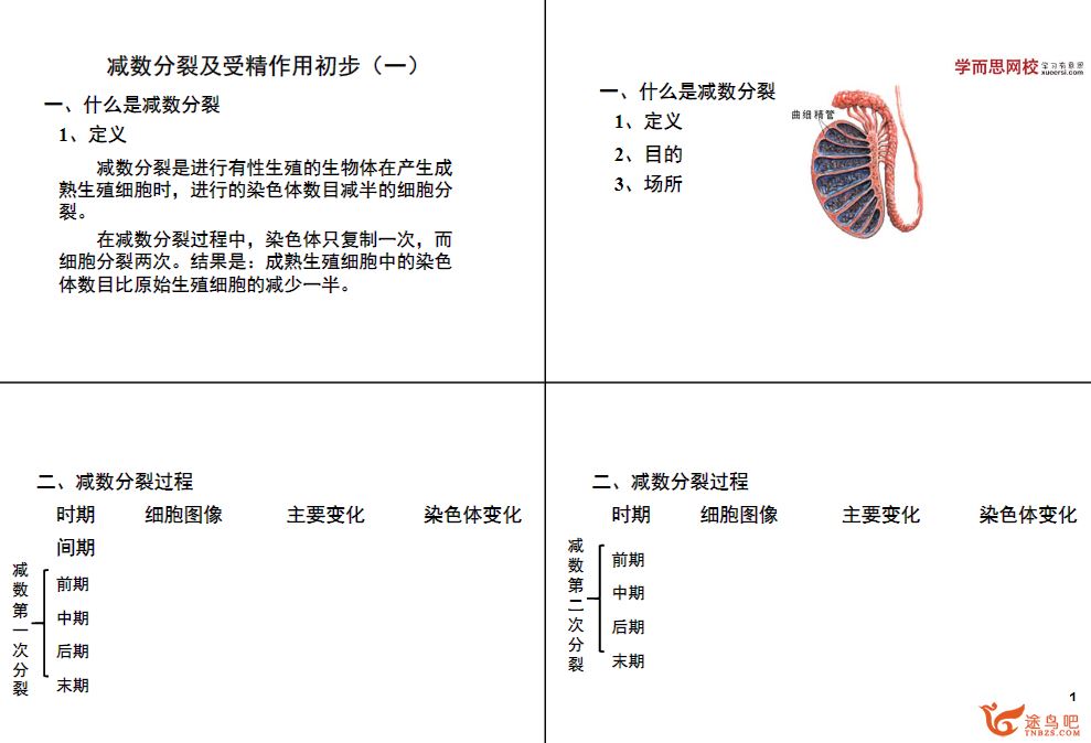 学而思陆巍巍高一生物必修年卡