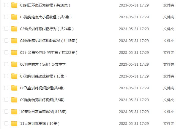 训狗/训犬视频教程-怎样让狗狗听话