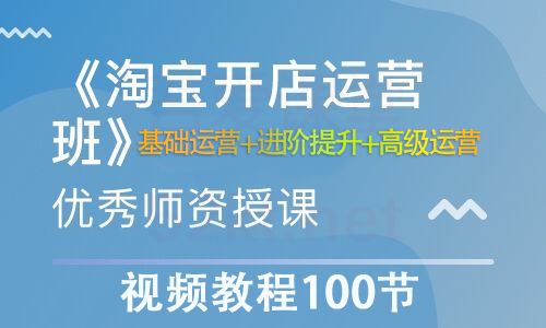 淘宝开店营运视频教程(100节) 含基础运营+进阶提升+高级运营