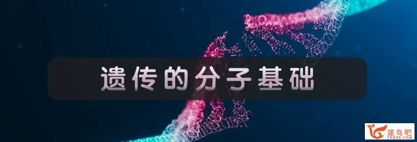 张鹏2024年高考生物全程班一轮秋季班更新8讲 张鹏生物百度网盘