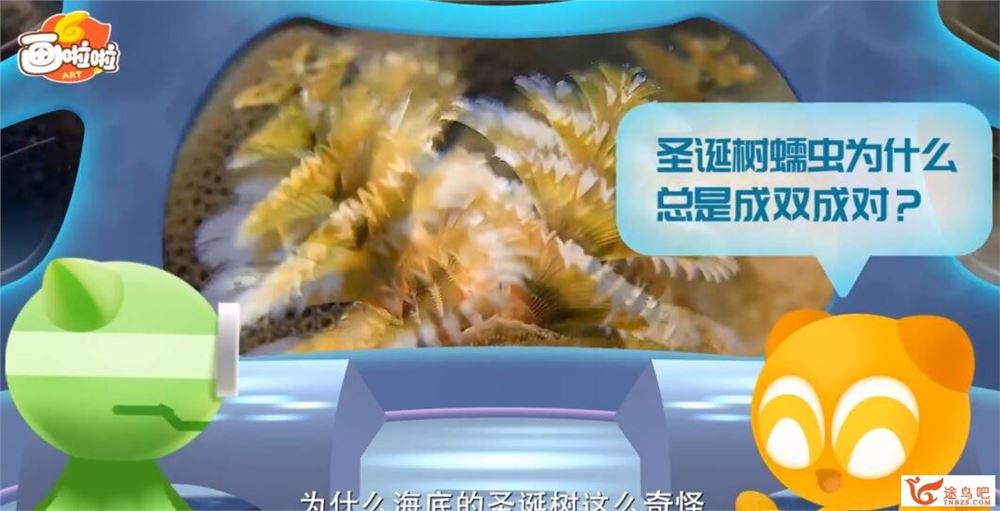 小灯塔学堂 给孩子的第一堂海洋课 10讲完结百度网盘分享