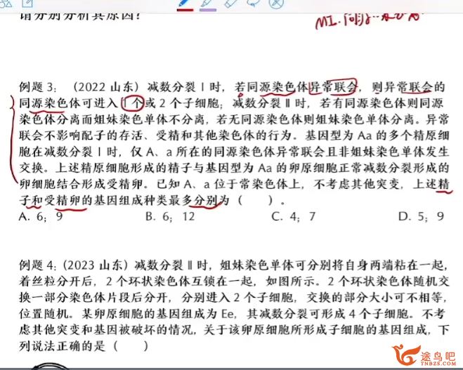 毛慧2024高考生物一轮复习暑秋联报暑假班更新14讲 百度网盘下载