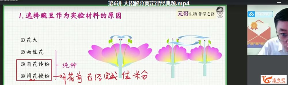 张元振 2022暑假 高一生物暑假尖端班（更新中）百度云下载