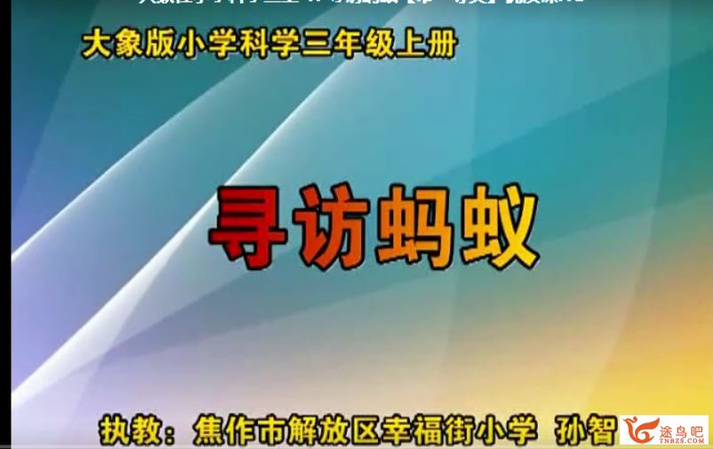 精选小学科学优质课 适合教师朋友参考百度云下载