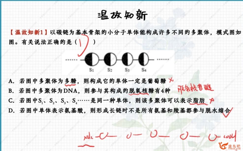 邓康尧高一生物2023秋季尖端班更新15讲 邓康尧高一生物怎么样