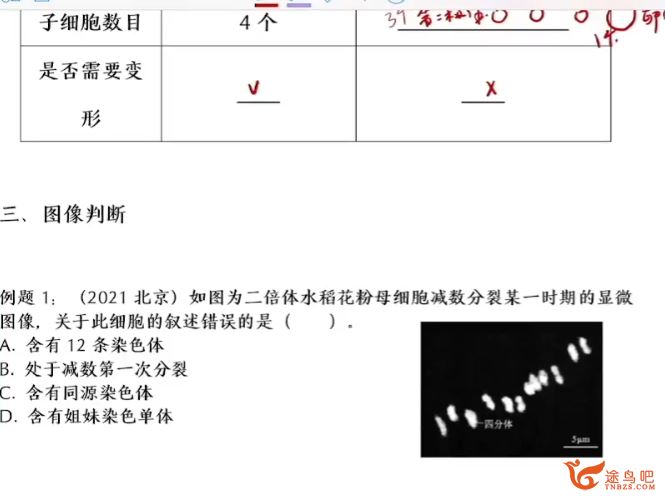 毛慧2024高考生物一轮复习暑秋联报暑假班更新11讲 百度网盘分享