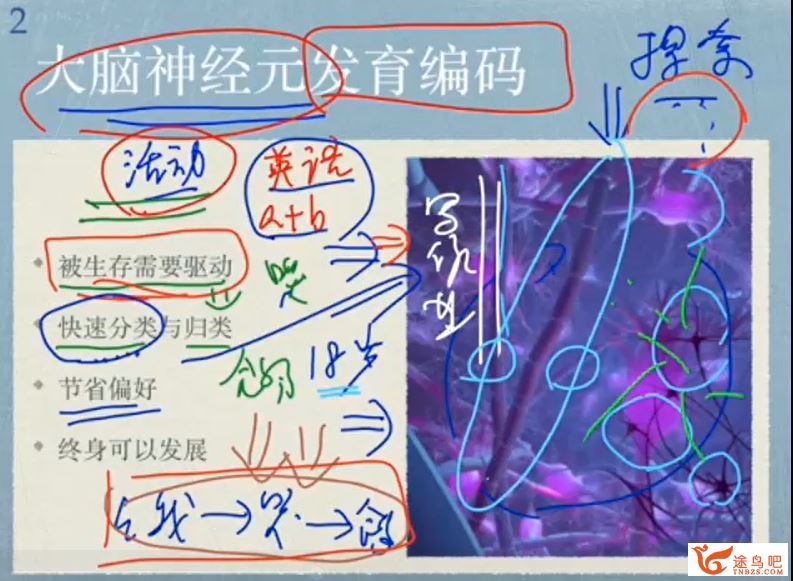 如何学习数学语文英语一切学科的底层方法论 28讲完结