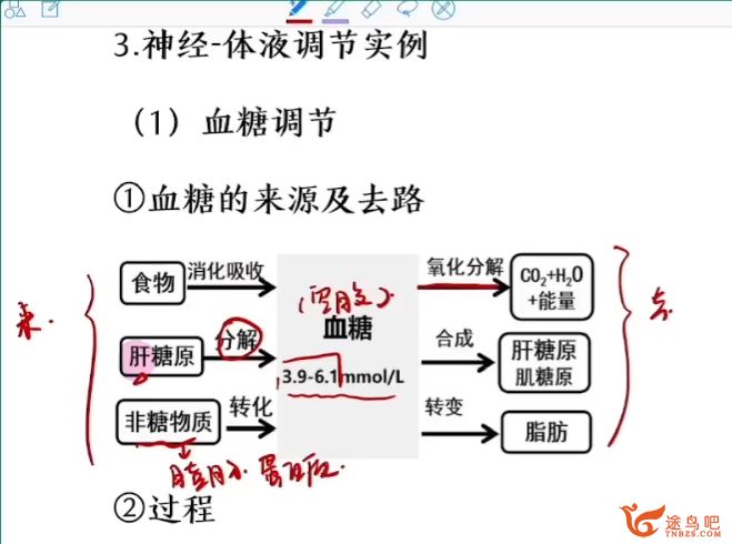 毛慧2024高考生物一轮复习秋季班更新7讲 毛慧高考生物怎么样