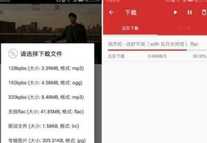 无损音乐下载器，任意下载无损付费免费音乐，百度网盘资源下载